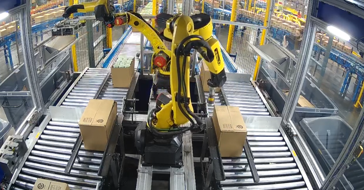 Automated Decant Systems for Warehouse Receiving - Decant Automation
